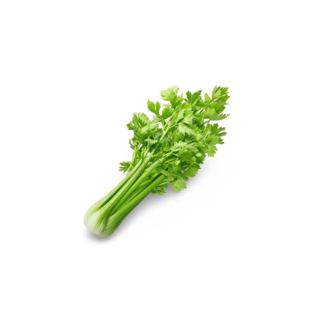 كرفس طازج – ربطة