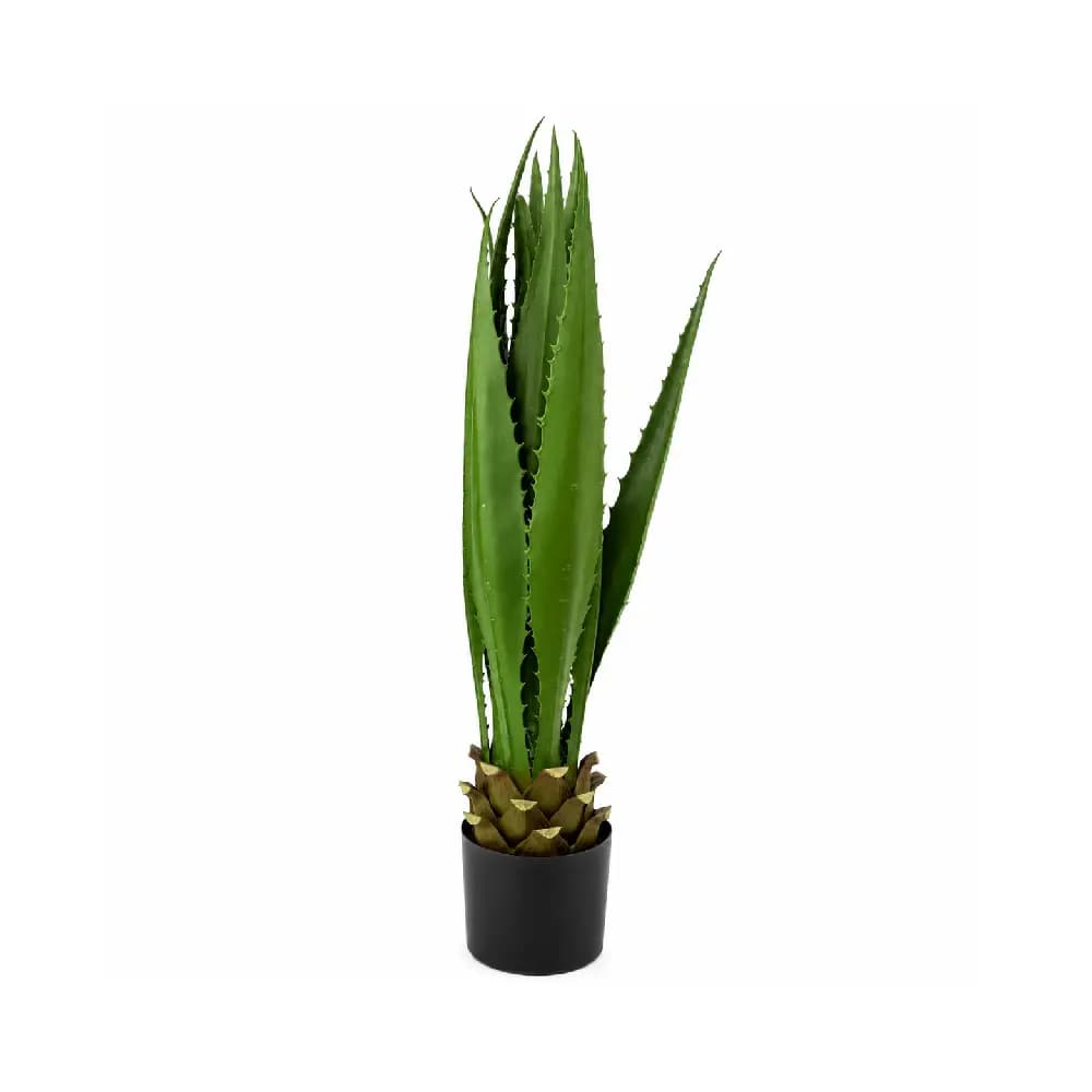 شجر رقم SG-04617